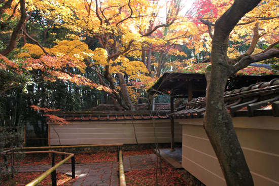 紅葉の大徳寺 高桐院_e0048413_2271343.jpg