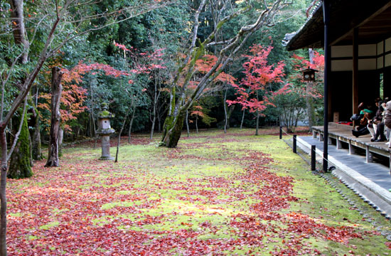 紅葉の大徳寺 高桐院_e0048413_228184.jpg