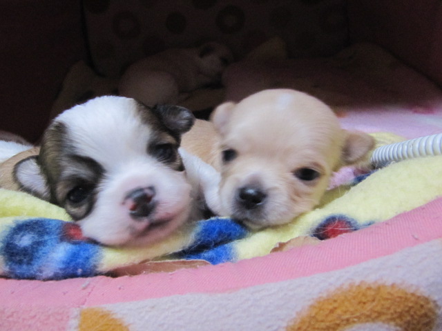 c0200916_2352010.jpg