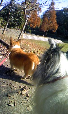 c0150520_23433390.jpg