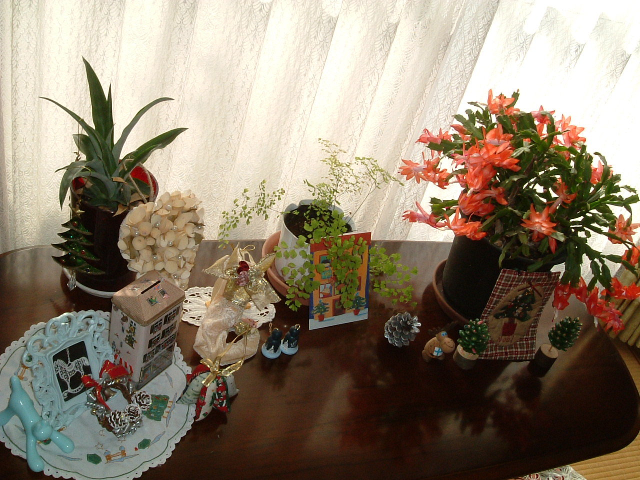 f0207320_16341310.jpg
