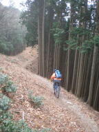 f0177521_2244318.jpg
