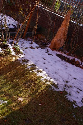 f0170524_11385936.jpg