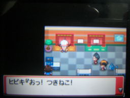 ポケットモンスターハートゴールドプレイ日記（サイクリング笑）_a0120525_23432221.jpg