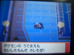 ポケットモンスターハートゴールドプレイ日記（サイクリング笑）_a0120525_23474635.jpg