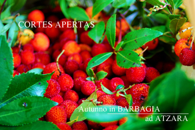 Cortes Apertas ad ATZARA_e0141525_5592445.jpg