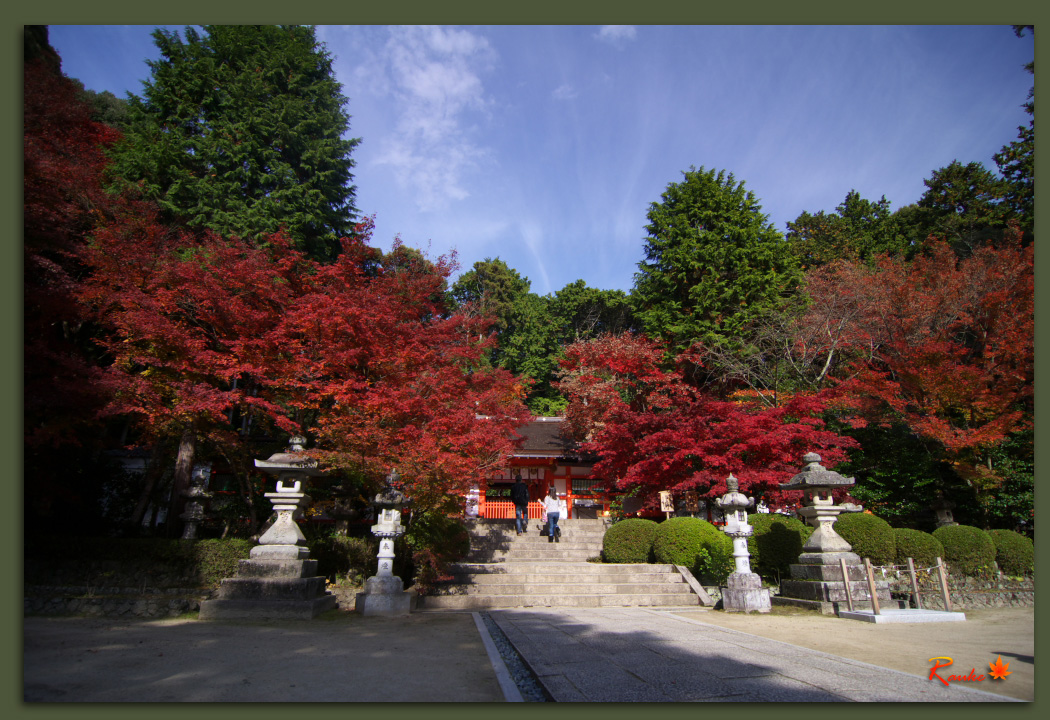 秋色・大原野神社_e0150228_22321374.jpg