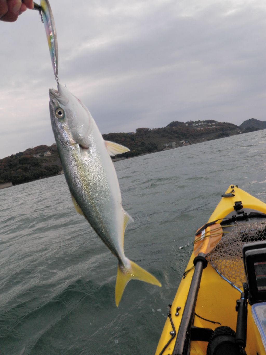 釣れちゃった魚 と 釣った魚 三番瀬 新舞子 Team Banzy