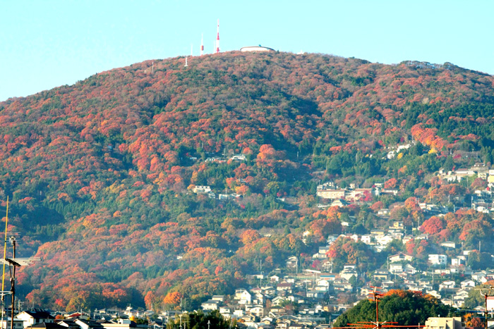 生駒山の紅葉！・・・・・白髭_d0138130_9495971.jpg