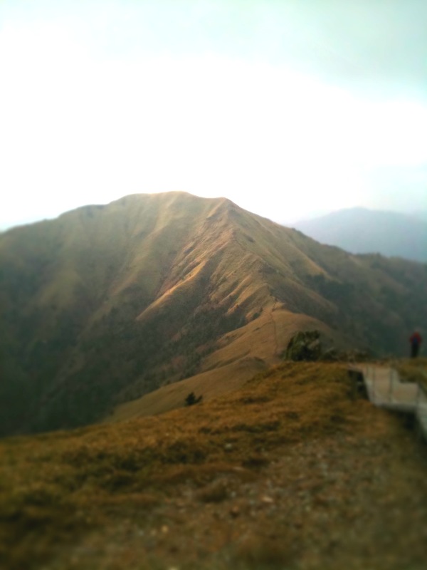 I went to TURUGI in SHIKOKU._c0082534_16271460.jpg