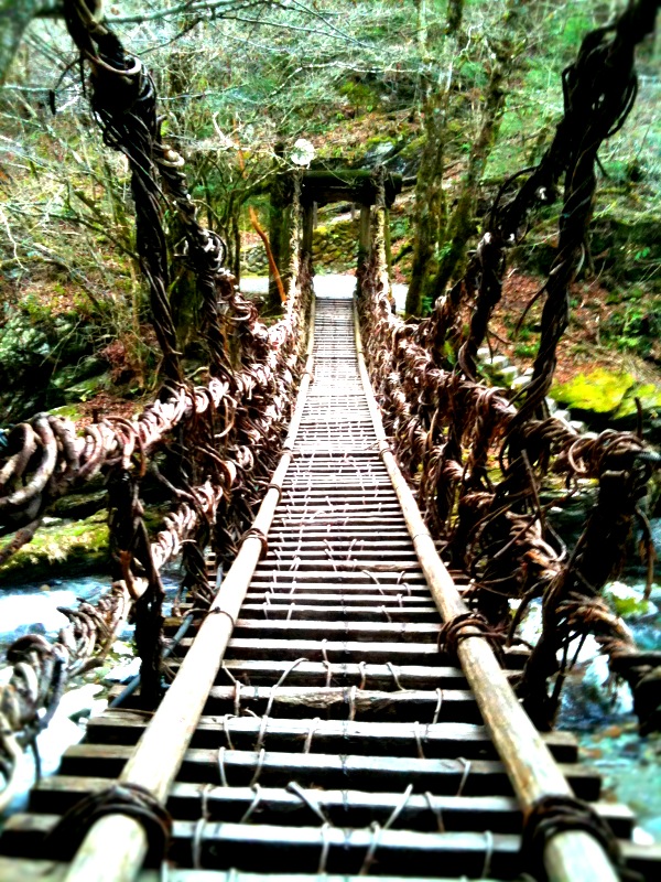 I went to TURUGI in SHIKOKU._c0082534_16293323.jpg