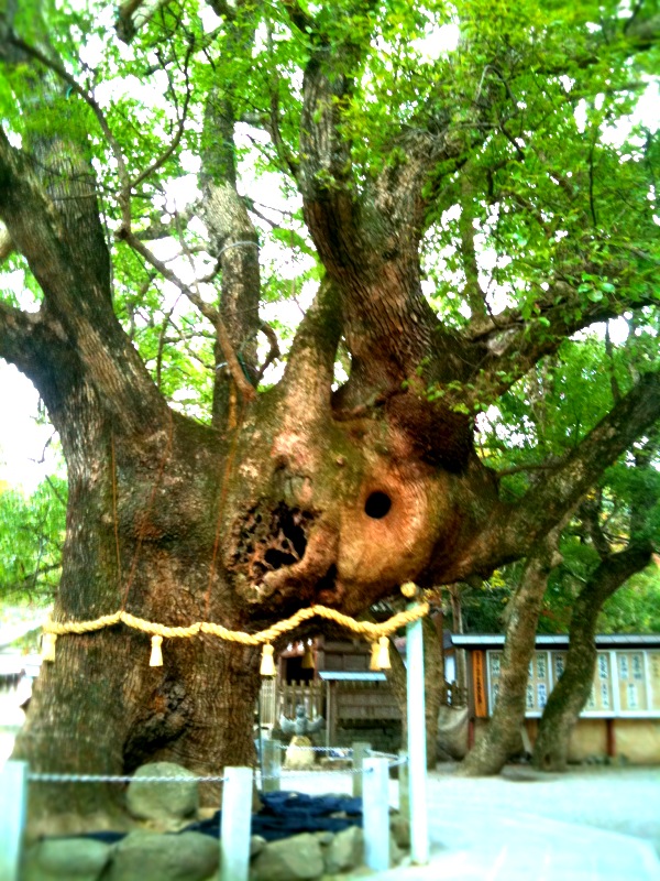 I went to TURUGI in SHIKOKU._c0082534_1630199.jpg
