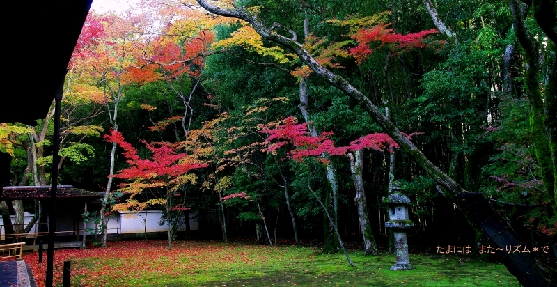  そうだ　京都、行こう 　～ここに来たかった！　大徳寺　高桐院～ - リズムのある暮らし