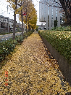 c0147935_2051757.jpg