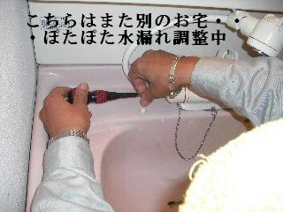旬のメニュー_f0031037_20152326.jpg