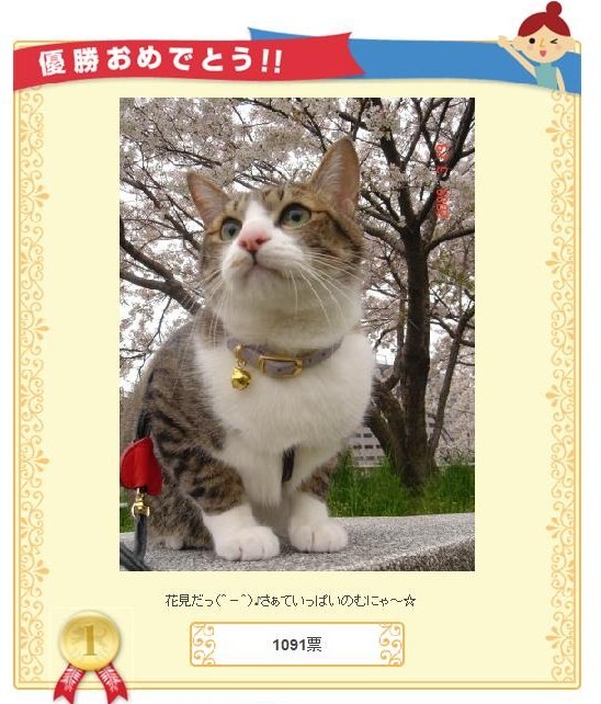 イケにゃん猫 ぽー編。_a0143140_1895384.jpg