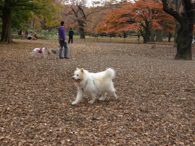 伊豆から東京へ　その②_f0128542_27072.jpg