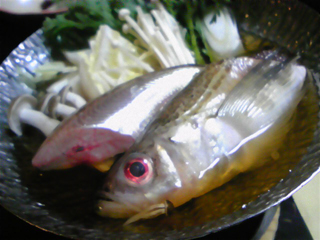 d0080549_122783.jpg