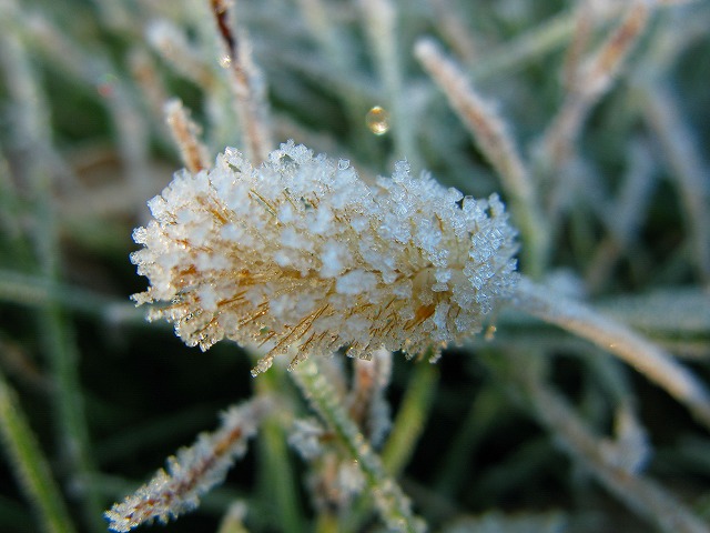 d0041158_9393336.jpg