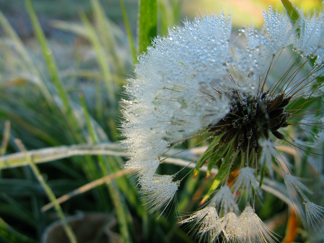 d0041158_939529.jpg