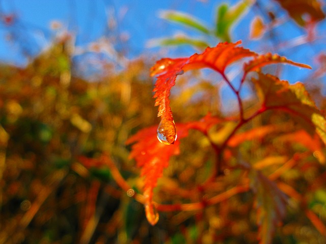 d0041158_9413248.jpg
