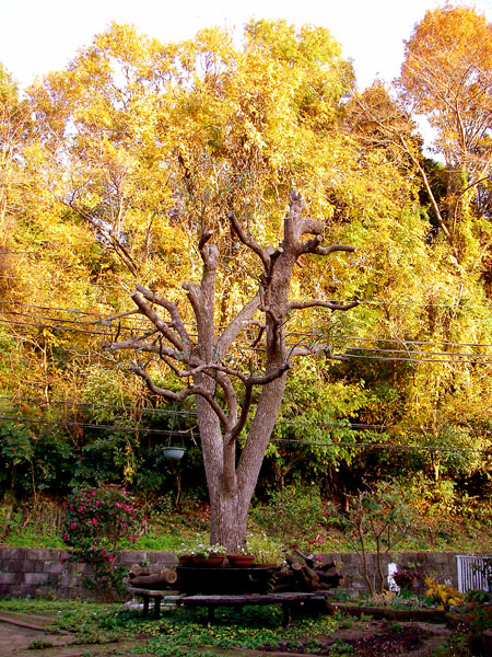 b0053660_16163835.jpg