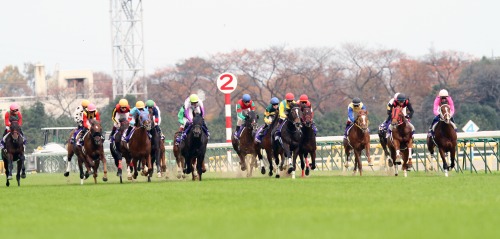 ゔ*す様 97年　第17回ジャパンカップ　14頭全馬券 ジャパンカップ】日本の総大将ドウデュース＆武豊が秋GI連勝