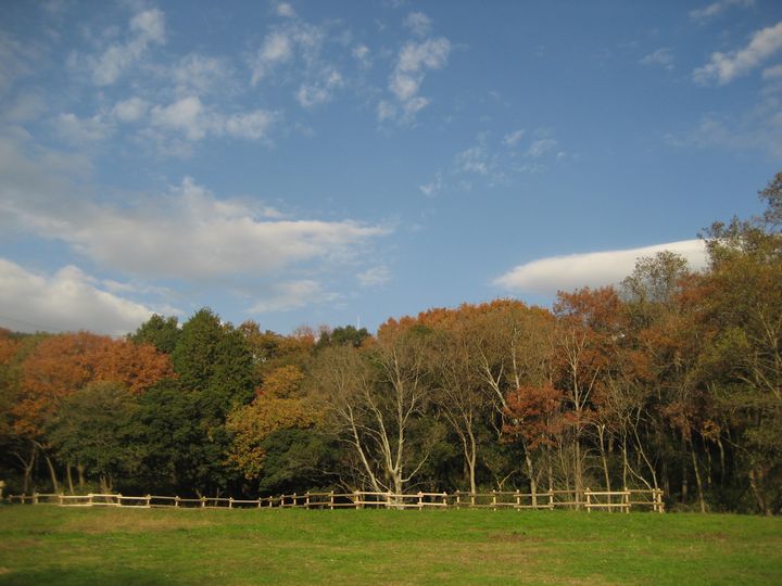 f0100871_22538.jpg