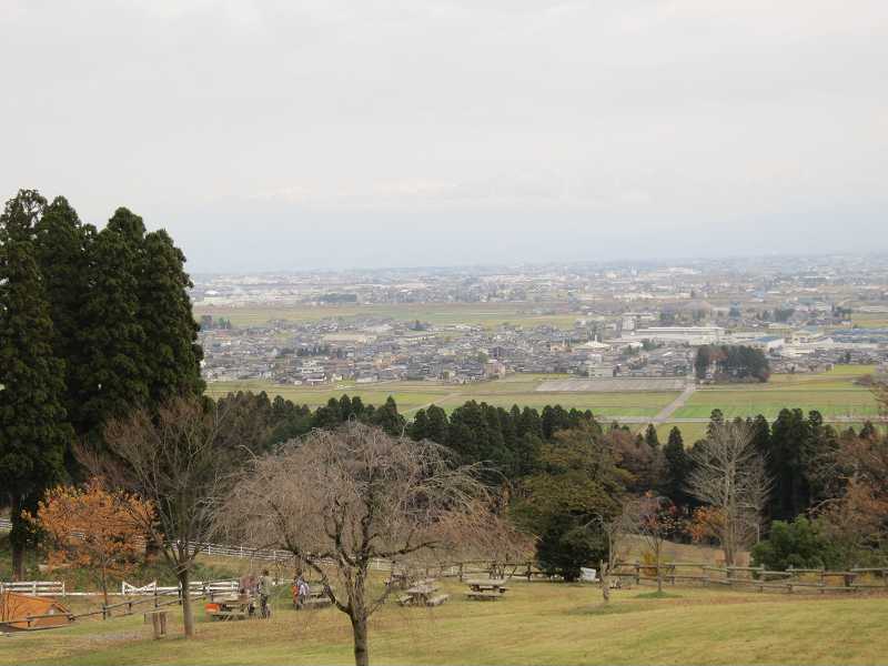 竹林整備 in 丘の夢牧場_a0102381_10372584.jpg