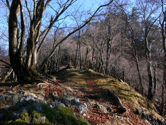 大峰　大普賢〜弥山_e0129083_19444863.jpg