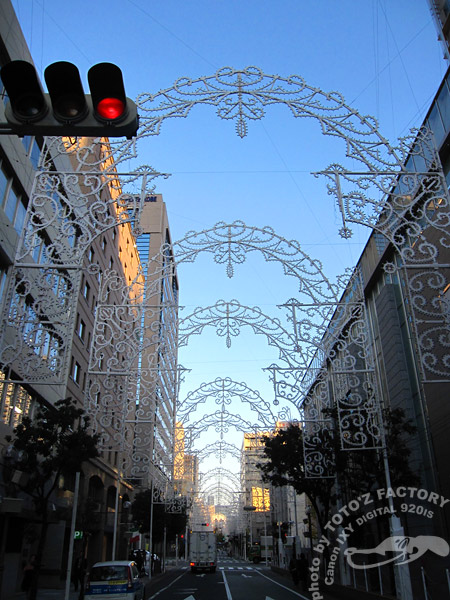 冬が始まるよ 2009_a0034287_22192455.jpg