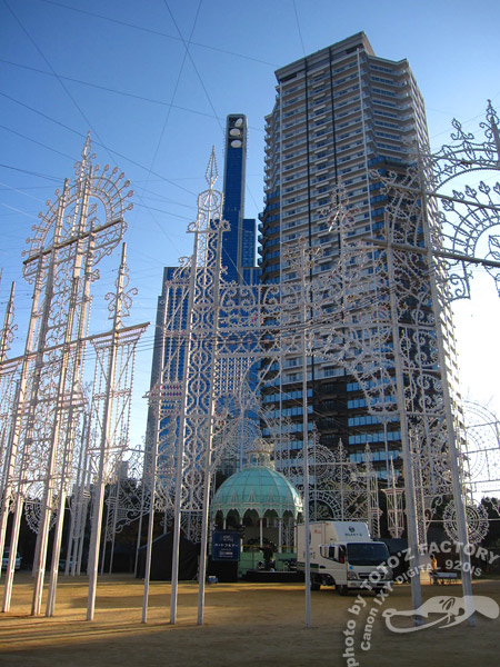 冬が始まるよ 2009_a0034287_22204813.jpg