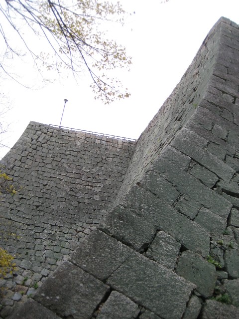 c0013687_22471466.jpg