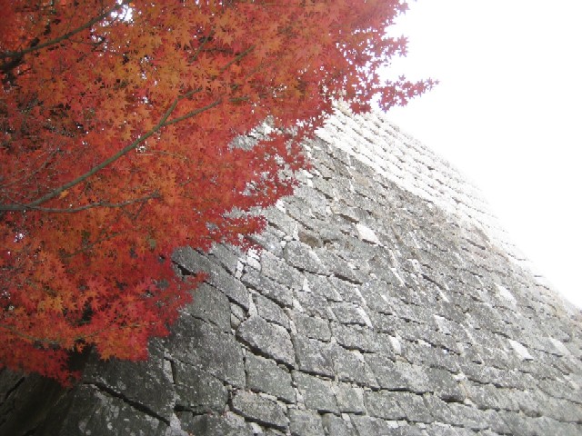 c0013687_2247545.jpg