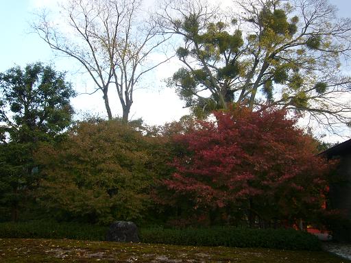 京都へ　～甥の結婚式　１～_b0134988_1254172.jpg