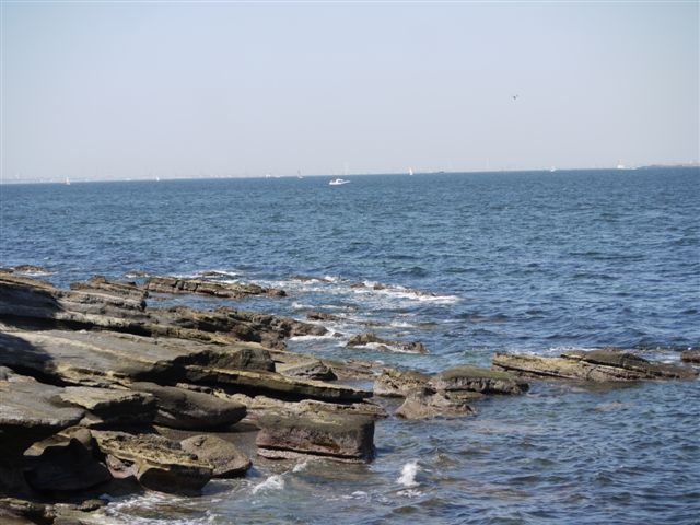 b0175688_17381839.jpg