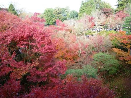 紅葉　　清水寺・東福寺_c0196992_14512233.jpg