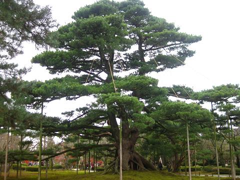 牛・栗・鮨もひとつ鮨ツアー_f0118594_15273992.jpg