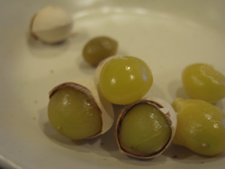 秋の味覚_a0049695_7155366.jpg