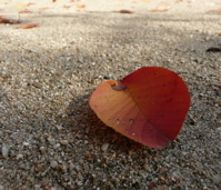 f0146198_2338741.jpg