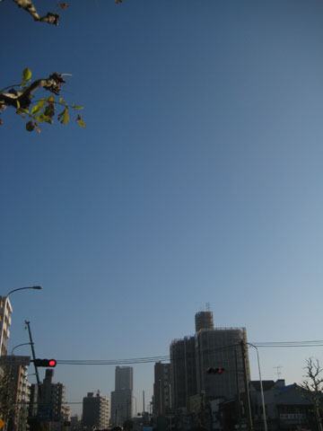 b0097200_22301680.jpg