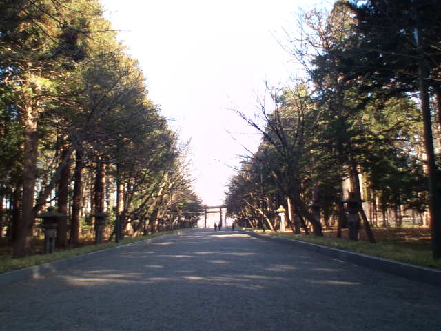 12月初日_b0127002_22535768.jpg