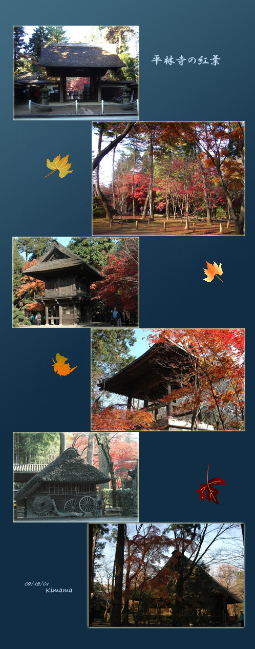 平林寺の紅葉_c0051105_17194065.jpg