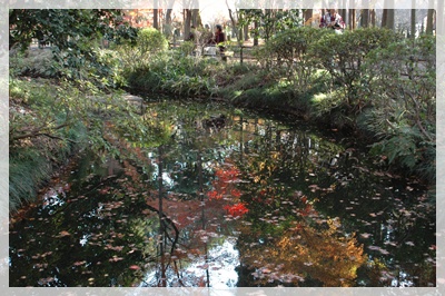 平林寺の紅葉_c0051105_21413971.jpg