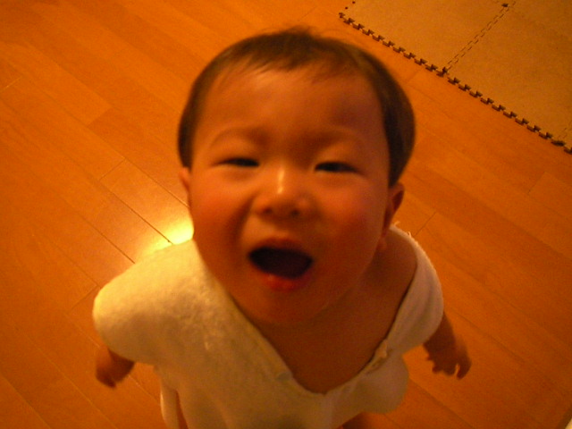 f0038407_21392486.jpg