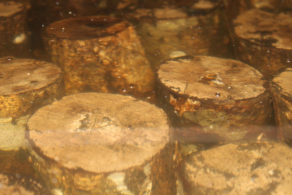 c0211308_18421941.jpg