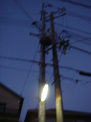 a0019212_12432851.jpg