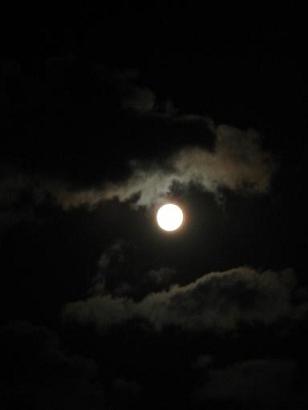 e0139012_21213829.jpg