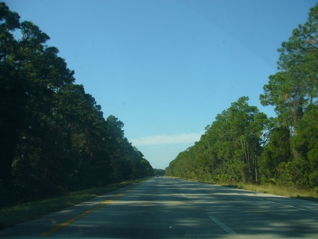 e0049015_2561150.jpg