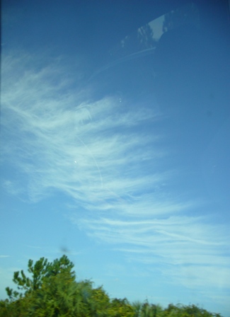 e0049015_256577.jpg